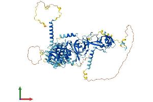 Protein Structure (PS) image for TSR1, 20S rRNA Accumulation, Homolog (TSR1) (AA 1-804) protein (His tag) (ABIN7544902)