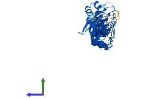AlphaFold protein structure predicition of Mouse Recombinant Fank1 Protein, UniprotID Q9DAM9