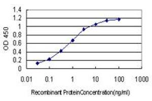 Detection limit for recombinant GST tagged RSU1 is approximately 0. (RSU1 抗体  (AA 1-277))