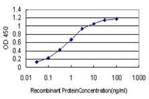 Detection limit for recombinant GST tagged RSU1 is approximately 0.