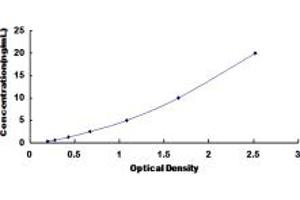 Typical standard curve (ABCC11 ELISA 试剂盒)