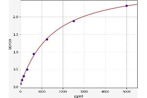 CYP3A4 ELISA 试剂盒