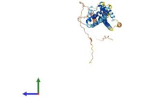 Protein Structure (PS) image for Pre-B-Cell Leukemia Transcription Factor 3 (PBX3) (AA 1-434) protein (His tag) (ABIN7550579)