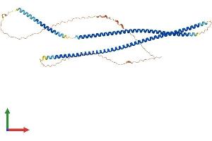Protein Structure (PS) image for Keratin 86 (KRT86) (AA 1-486) protein (His tag) (ABIN7548998)