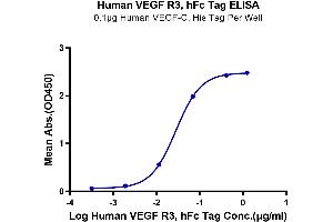 Immobilized Human VEGF-C, His Tag at 1 μg/mL (100 μL/well) on the plate.