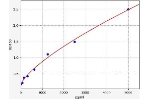 Heat Shock Protein 90 (HSP90) ELISA Kit
