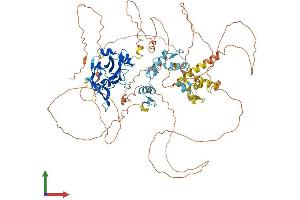 Protein Structure (PS) image for PR Domain Containing 1, with ZNF Domain (PRDM1) (AA 1-825) protein (His tag) (ABIN7555071)