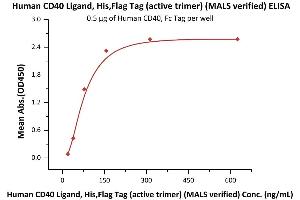 ELISA image for CD40 Ligand (CD40LG) (AA 116-261) (Active) protein (DYKDDDDK Tag,His tag) (ABIN6952262)