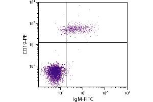 Human peripheral blood lymphocytes were stained with Goat Anti-Human IgM-FITC and Mouse Anti-Human CD19-PE. (山羊 anti-人 IgM (Heavy Chain) Antibody (FITC))