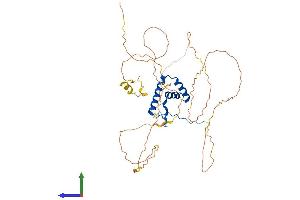 AlphaFold protein structure predicition of Human Recombinant SOX11 Protein, UniprotID P35716 (SOX11 Protein (AA 1-441) (His tag))