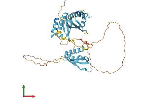 Protein Structure (PS) image for Poly(rC) Binding Protein 2 (PCBP2) (AA 1-365) protein (His tag) (ABIN7550623)