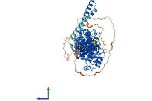 Protein Structure (PS) image for Rhophilin, rho GTPase Binding Protein 2 (RHPN2) (AA 1-686) protein (His tag) (ABIN7551384)