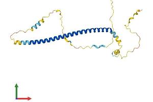 AlphaFold protein structure predicition of Mouse Recombinant Trnp1 Protein, UniprotID Q80ZI1 (TRNP1 Protein (AA 1-223) (His tag))