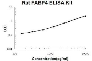 Rat FABP4 PicoKine ELISA Kit standard curve (FABP4 ELISA 试剂盒)