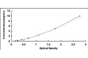 Typical standard curve (PDIA2 ELISA 试剂盒)