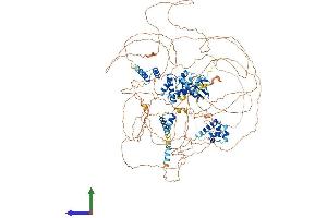AlphaFold protein structure predicition of Mouse Recombinant Sash1 Protein, UniprotID P59808