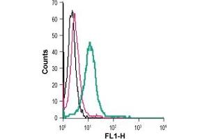 Cell surface detection of P2RX4 in live intact mouse  microglia cells:___ Cells.