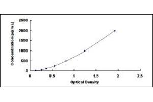 ELISA image for Tumor Necrosis Factor (Ligand) Superfamily, Member 12 (TNFSF12) ELISA Kit (ABIN6960251)