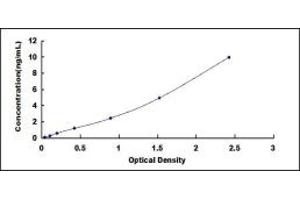 Typical standard curve (ADAM22 ELISA 试剂盒)