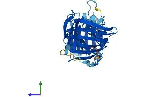 Protein Structure (PS) image for Cell Cycle Checkpoint Protein RAD1 (RAD1) (AA 1-282) protein (His tag) (ABIN7555114)