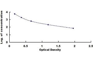 Reverse Triiodothyronine T3 (rT3) ELISA Kit