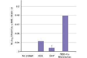 Binding of CR3022 to RBD by ELISA. (SARS-CoV-2 抗体)