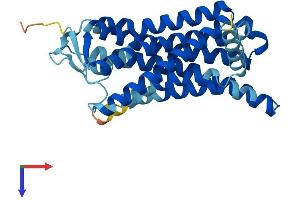 Olfactory Receptor, Family 6, Subfamily C, Member 65 (OR6C65) (AA 1-312) protein (His tag)