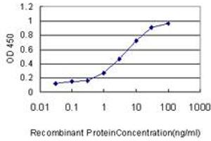 Detection limit for recombinant GST tagged ICAM1 is approximately 0. (ICAM1 抗体  (AA 1-532))
