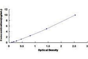 Typical standard curve (SLIT1 ELISA 试剂盒)