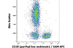 Flow cytometry surface staining pattern of human peripheral blood stained using anti-human CD28 (CD28. (CD28 抗体)