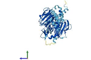 AlphaFold protein structure predicition of Mouse Recombinant Rcbtb1 Protein, UniprotID Q6NXM2 (RCBTB1 Protein (AA 1-531) (His tag))