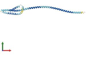 Protein Structure (PS) image for B-Cell Receptor-Associated Protein 29 (BCAP29) (AA 1-241) protein (His tag) (ABIN7552556)