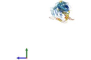 Protein Structure (PS) image for Mitofusin 2 (MFN2) (AA 1-757) protein (His tag) (ABIN7564255)