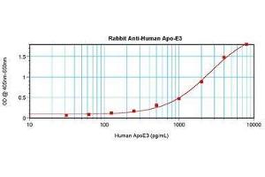 Image no. 1 for anti-Apolipoprotein E (APOE) antibody (ABIN465190) (APOE 抗体)