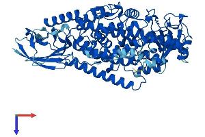 ALOX15B Protein (AA 1-676) (His tag)