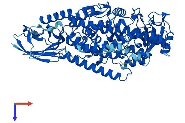ALOX15B Protein (AA 1-676) (His tag)