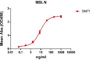 ELISA plate pre-coated by 2 μg/mL (100 μL/well) Human MSLN protein, mFc-His tagged protein (ABIN6961104) can bind Rabbit anti-MSLN monoclonal antibody (clone: DM71) in a linear range of 1-100 ng/mL. (Recombinant Mesothelin 抗体  (AA 296-580))