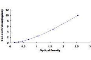 Early Growth Response 1 (EGR1) ELISA Kit