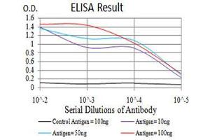 ELISA image for anti-RAN, Member RAS Oncogene Family (RAN) (AA 1-216) antibody (ABIN5542382)