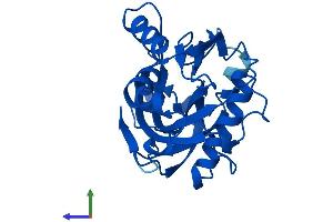 AlphaFold protein structure predicition of Human Recombinant IDI2 Protein, UniprotID Q9BXS1