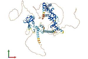 Protein Structure (PS) image for SATB Homeobox 2 (SATB2) (AA 1-733) protein (His tag) (ABIN7564768)