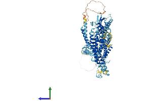 Protein Structure (PS) image for ATPase, H+ Transporting, Lysosomal V0 Subunit A2 (ATP6V0A2) (AA 1-856) protein (His tag) (ABIN7555986)