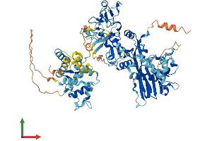Protein Structure (PS) image for Diacylglycerol Kinase, beta 90kDa (DGKB) (AA 1-804) protein (His tag) (ABIN7547071)
