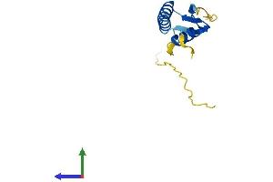 AlphaFold protein structure predicition of Human Recombinant LAGE3 Protein, UniprotID Q14657