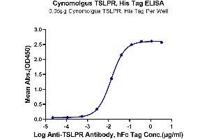 ELISA image for Cytokine Receptor-Like Factor 2 (CRLF2) (AA 23-231) protein (His tag) (ABIN7275801)
