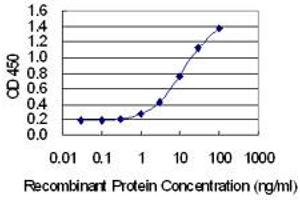Detection limit for recombinant GST tagged FAM122A is 0. (FAM122A 抗体  (AA 1-287))