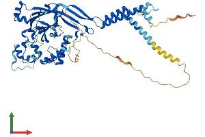 Protein Structure (PS) image for Amiloride-Sensitive Cation Channel 3 (ACCN3) (AA 1-531) protein (His tag) (ABIN7552330)