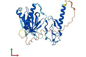 Protein Structure (PS) image for Pleckstrin Homology Domain Containing, Family F (With FYVE Domain) Member 1 (PLEKHF1) (AA 1-279) protein (His tag) (ABIN7557048)
