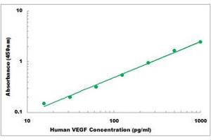 Representative Standard Curve (VEGF ELISA 试剂盒)