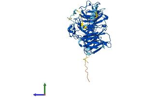 Protein Structure (PS) image for Coronin, Actin Binding Protein, 2B (CORO2B) (AA 1-480) protein (His tag) (ABIN7558606)